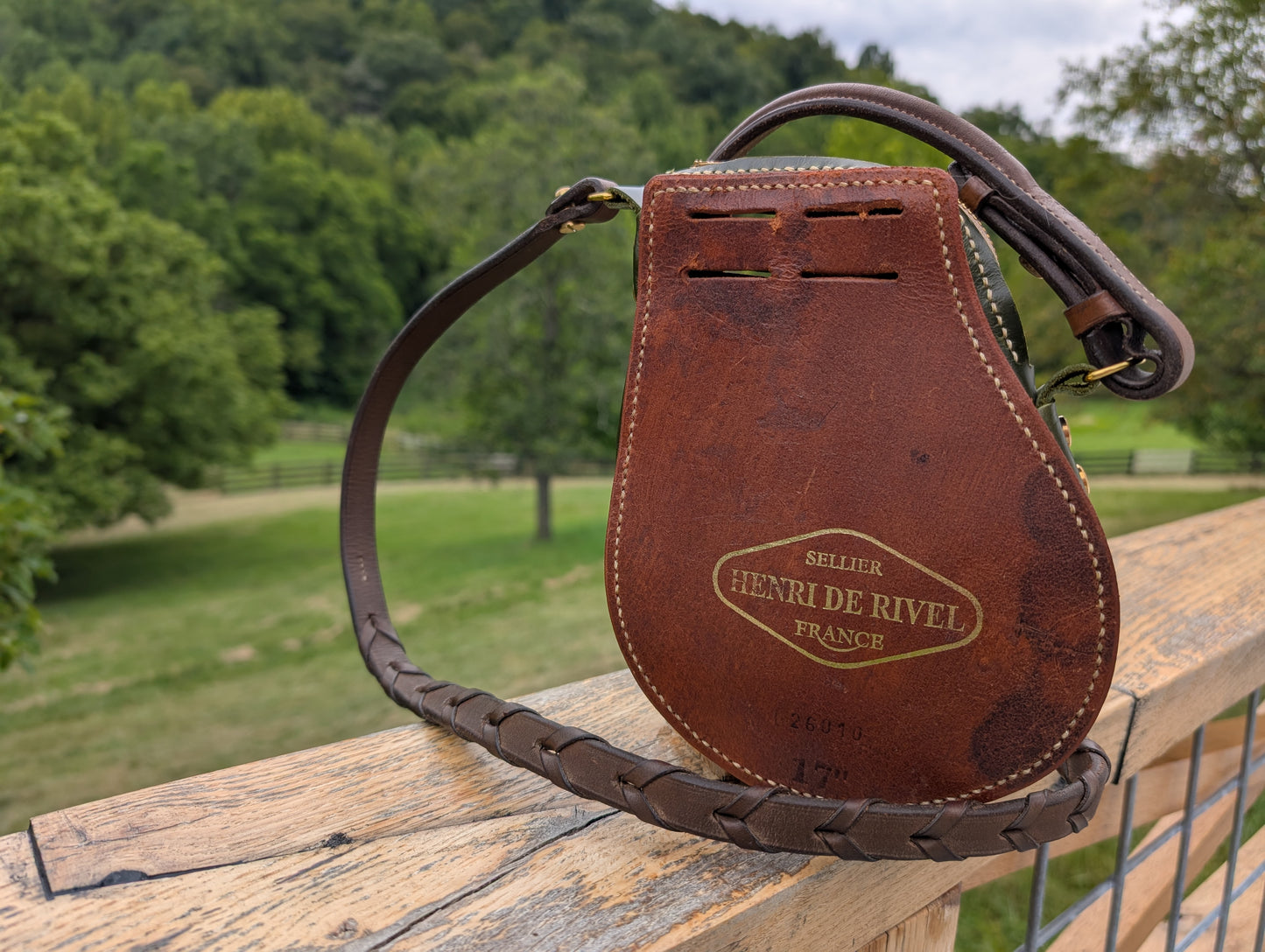 Olive Green & Brown HDR Forward Seat Billet Guard Bag