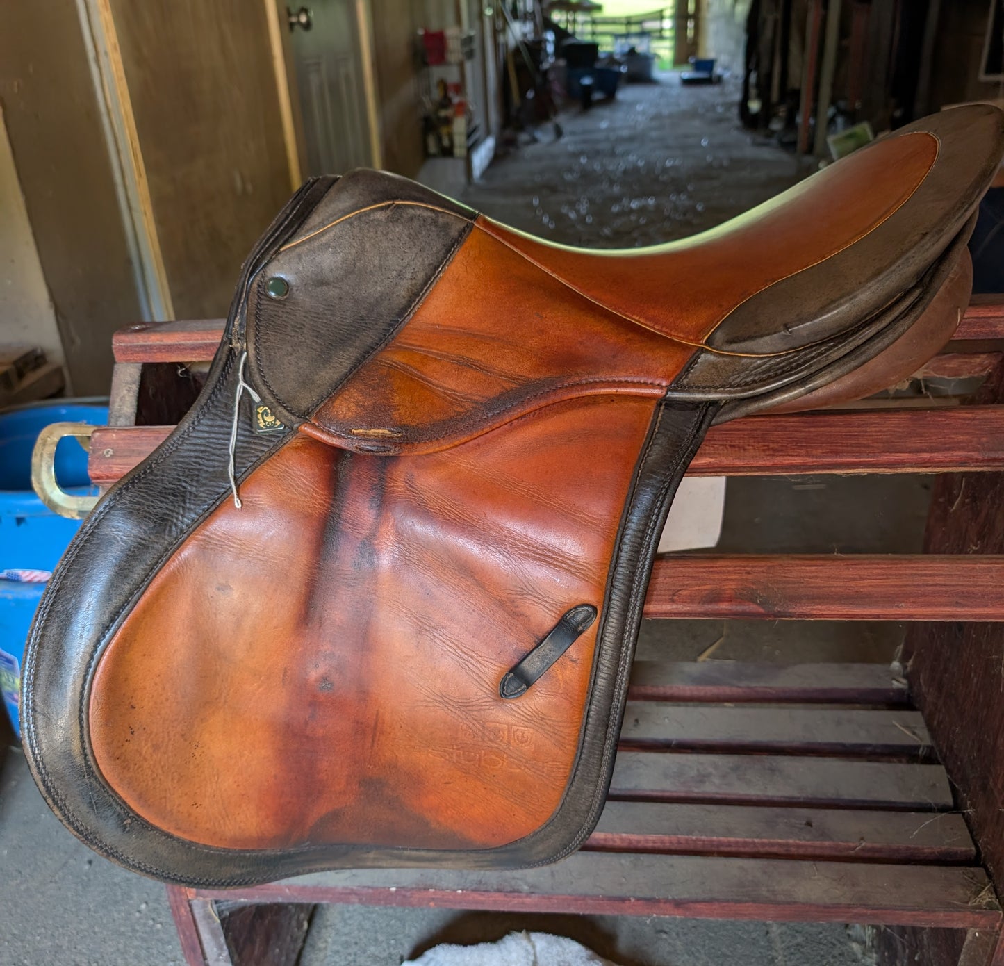 Stübben Imperator Chestnut Half Pirouette