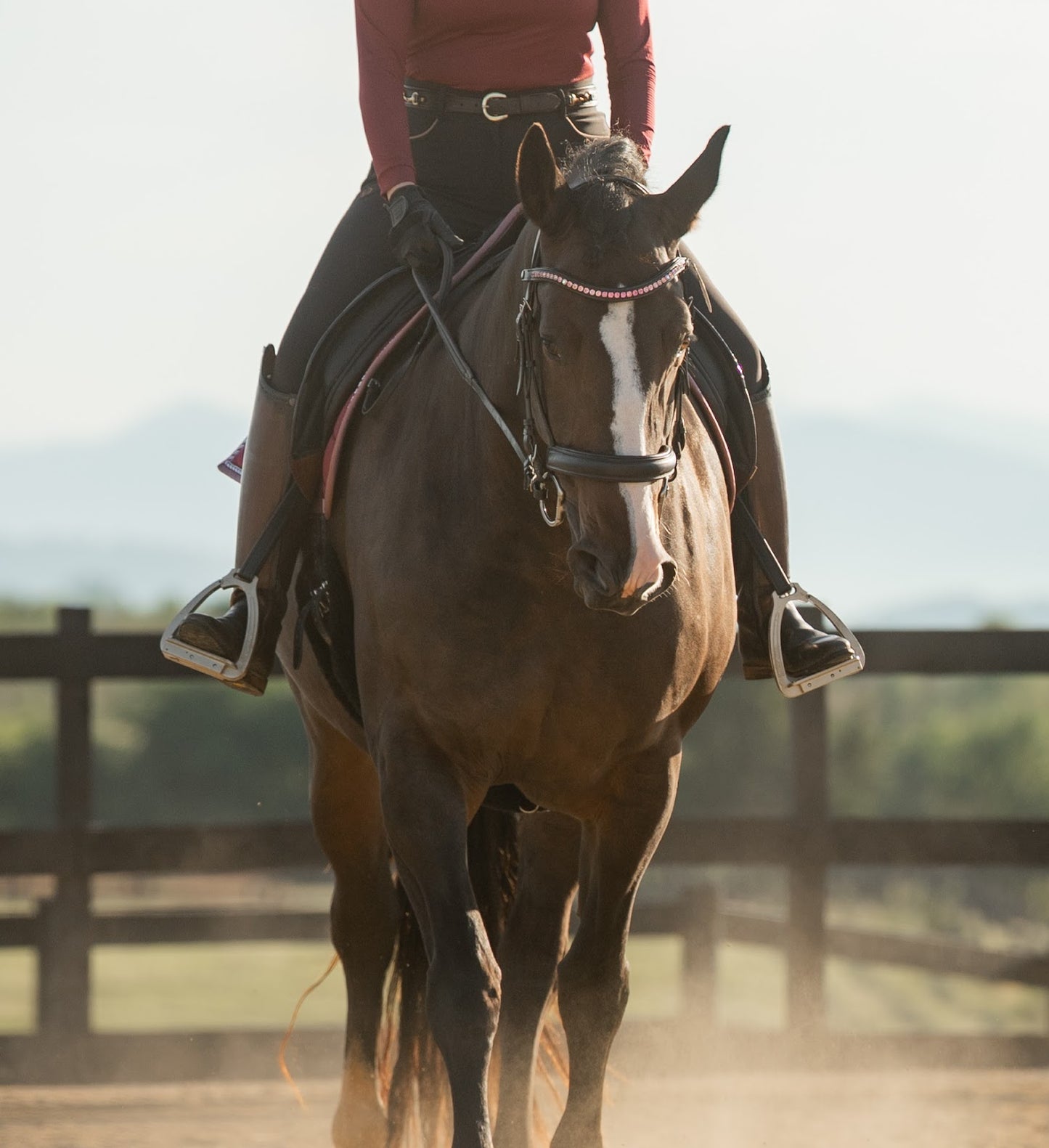 Custom Browband