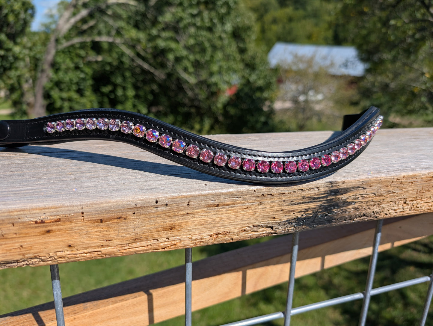 Custom Browband