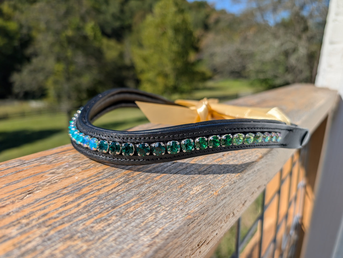 Custom Browband