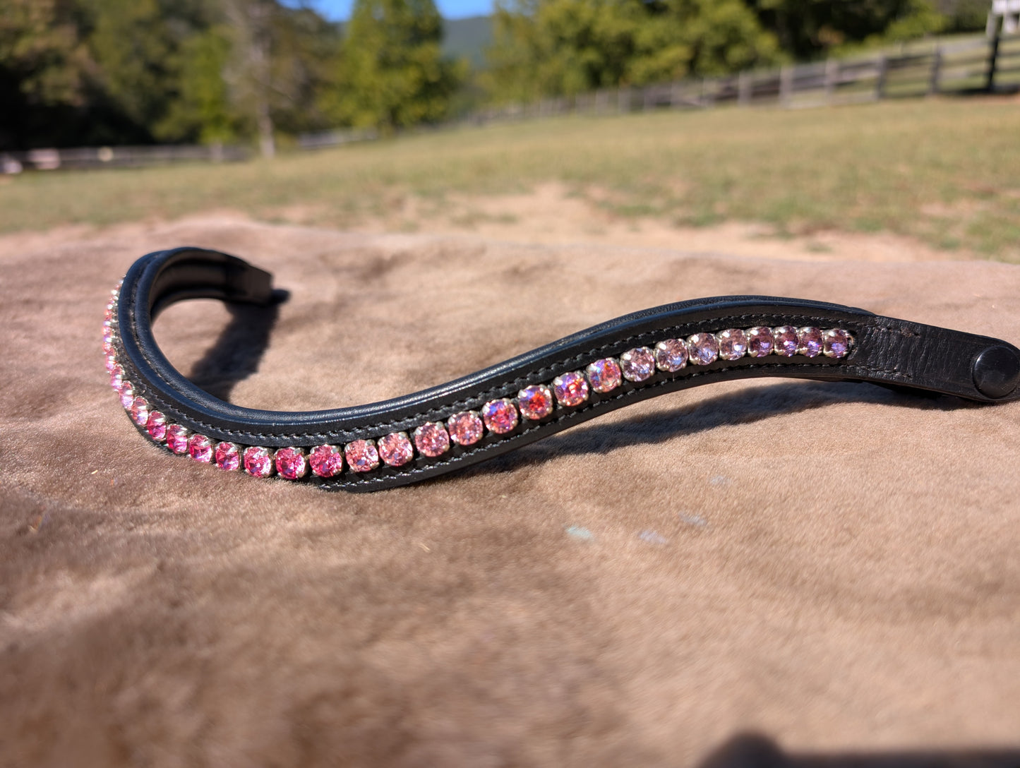 Custom Browband